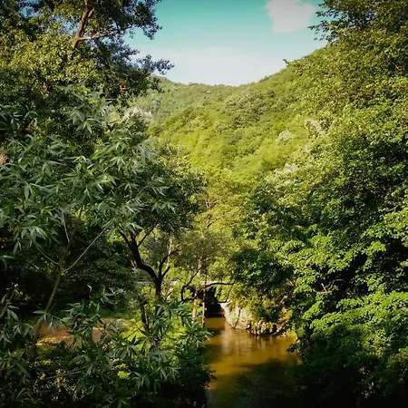 Restoran Sa Prenocistem Gornjak Krepoljin